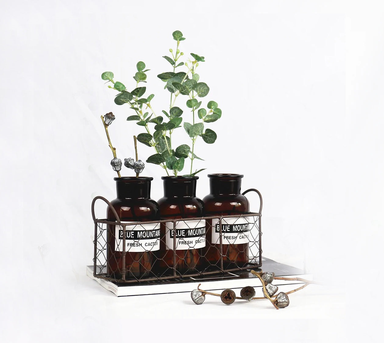 AnlarVo Nordic Style Hydroponic Flower Glass Vase with Iron Frame, Amber color